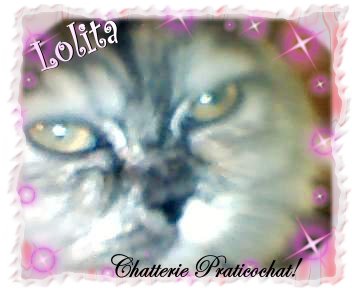 lolita1.jpg